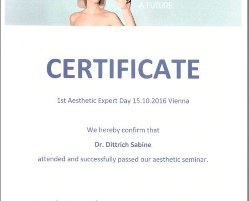 Ästhetic Seminar